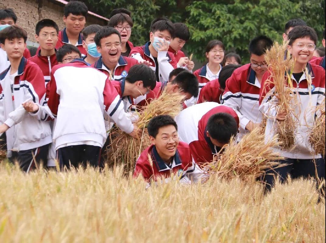 小满：麦穗初齐学子行