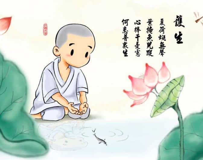 唤醒整个整个世界的慈悲