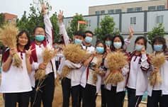 陈同学看新奇——新·奇农科院儿的小麦丰收咯~