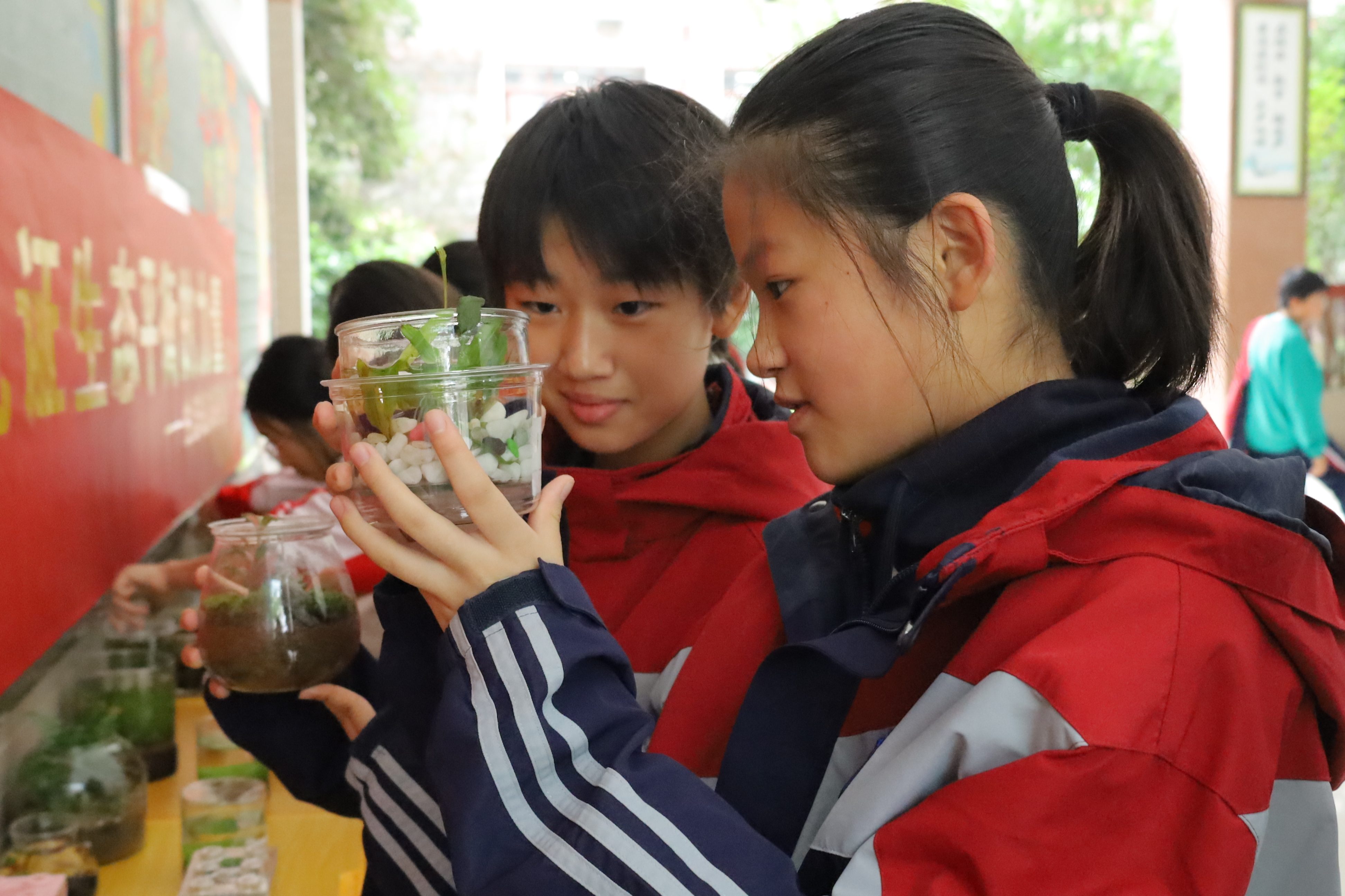 见证生态平衡的力量——生物展