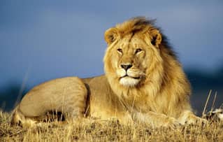 九则趣味心理学小故事，会影响你成功