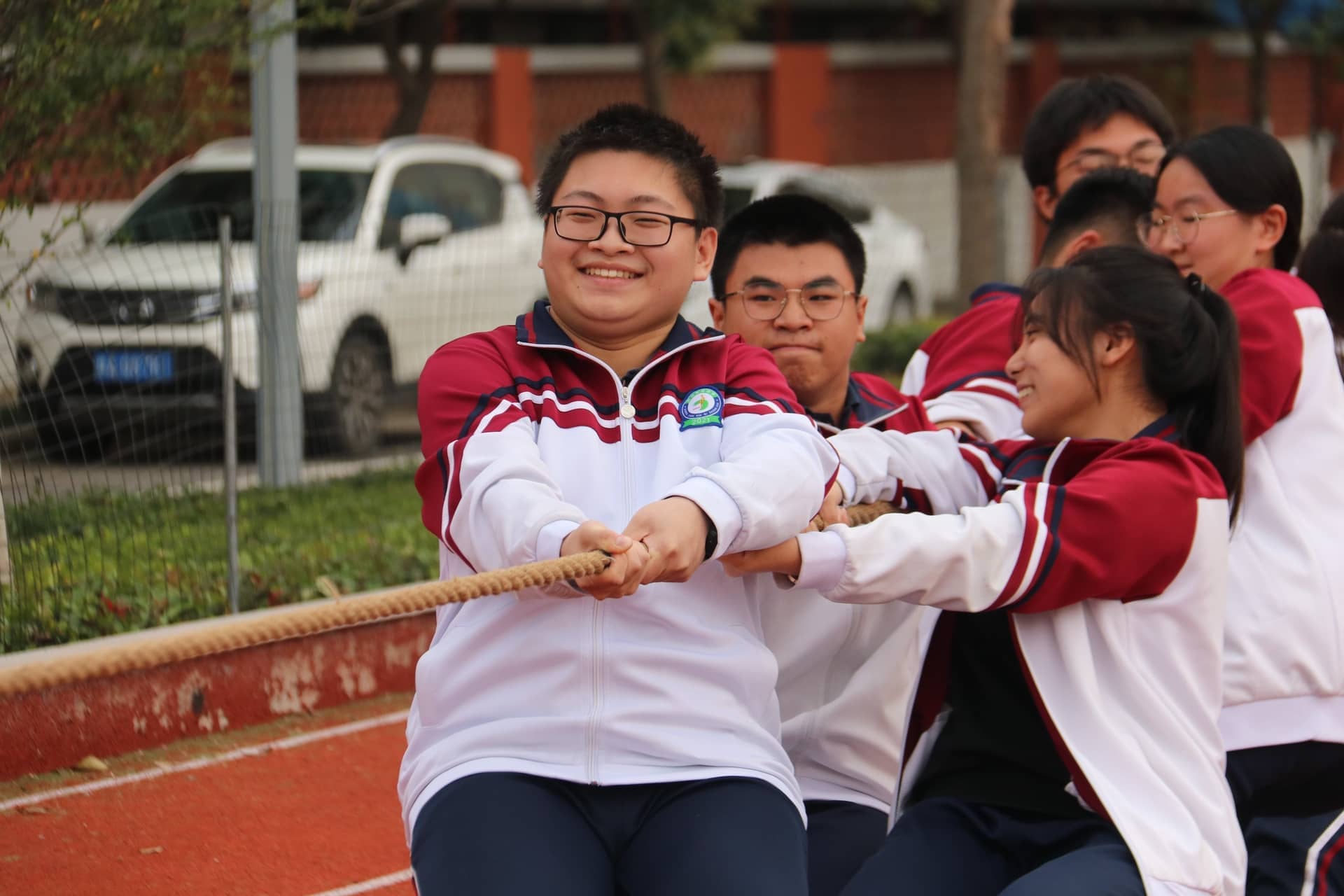 新奇龙凤初长成，力拔山兮气盖世