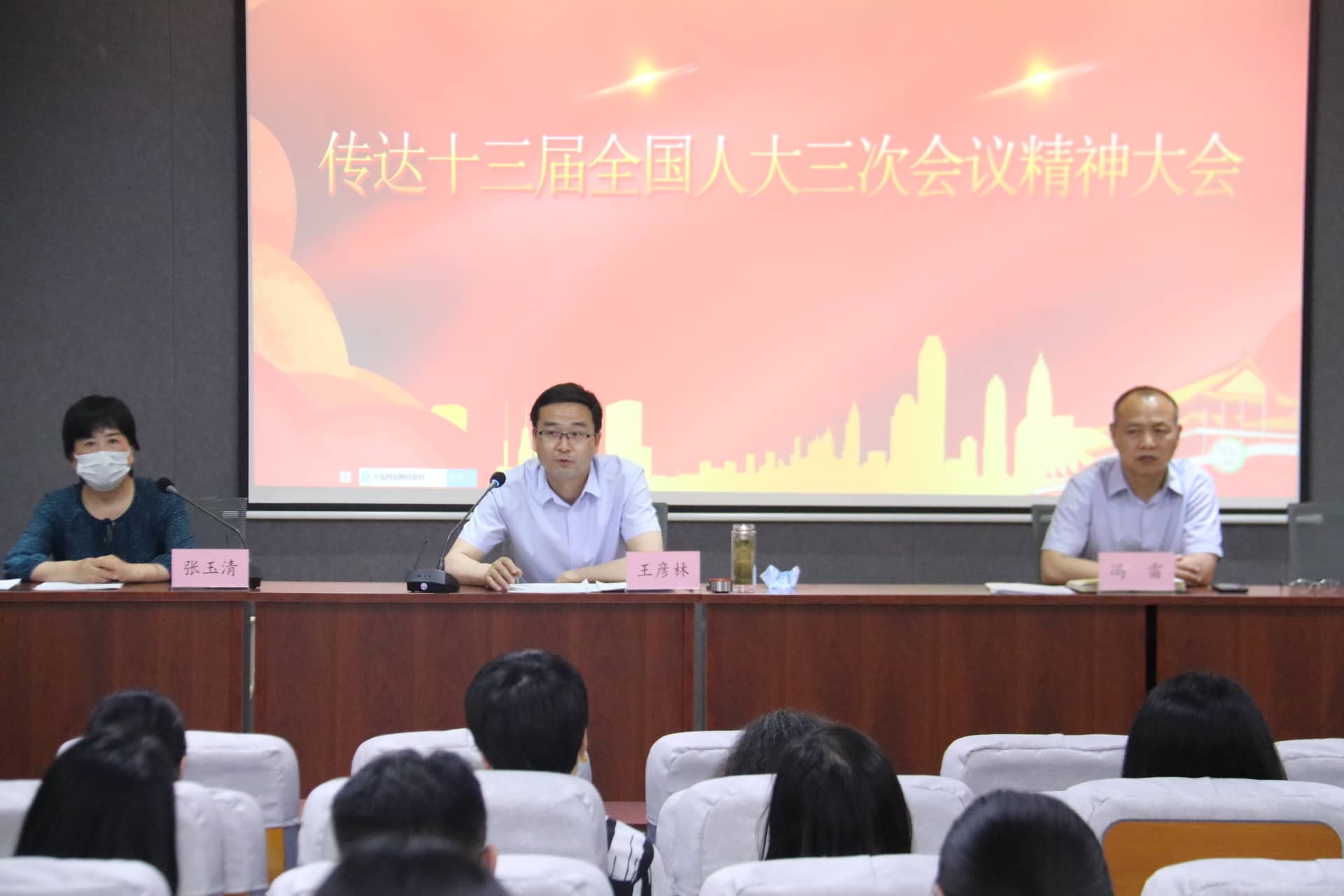 传达十三届全国人大三次会议精神