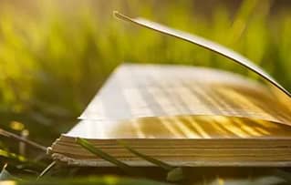 有审美眼光，教育才能做出味道